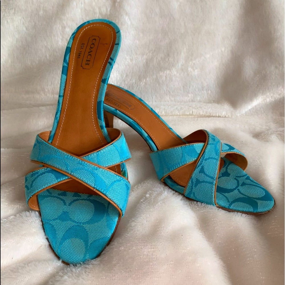 RARE VINTAGE COACH CIARA HEELS